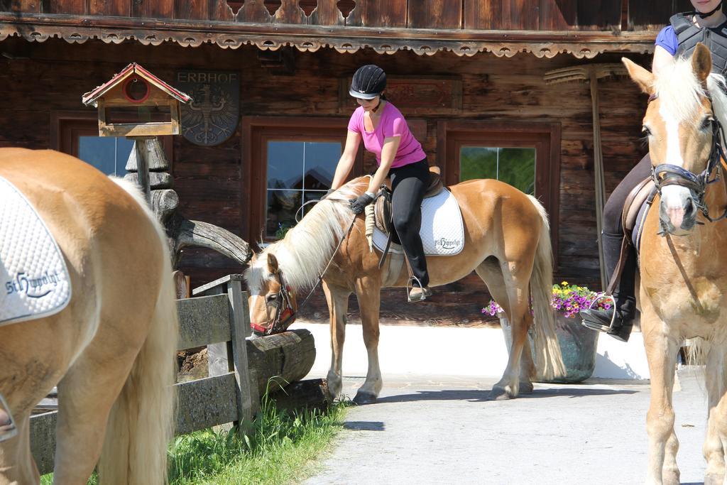 Hotel Haflingerhof Oberau Luaran gambar